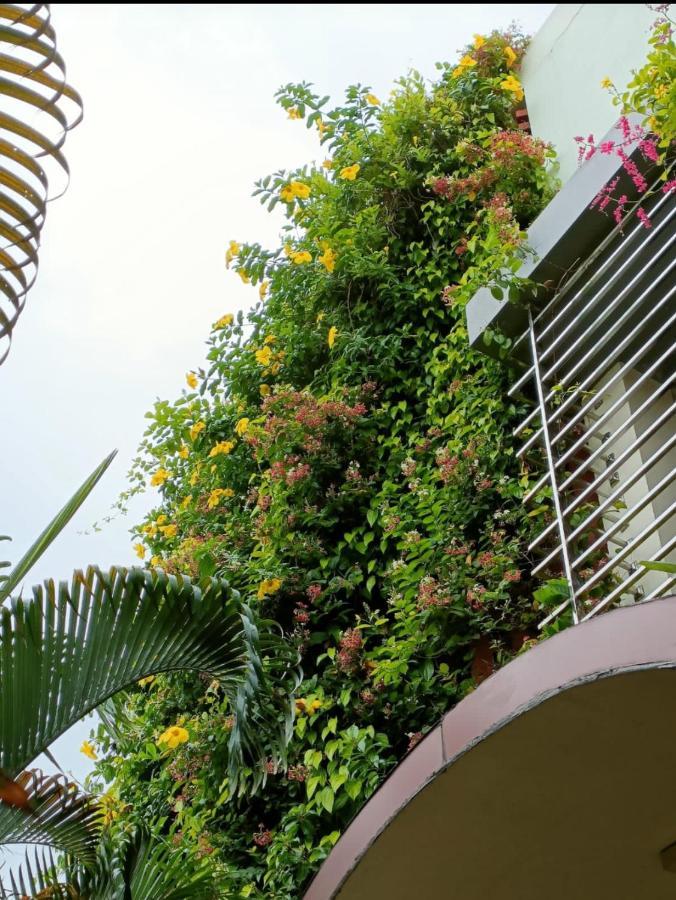 Mango Tree Homestay Hampi Buitenkant foto